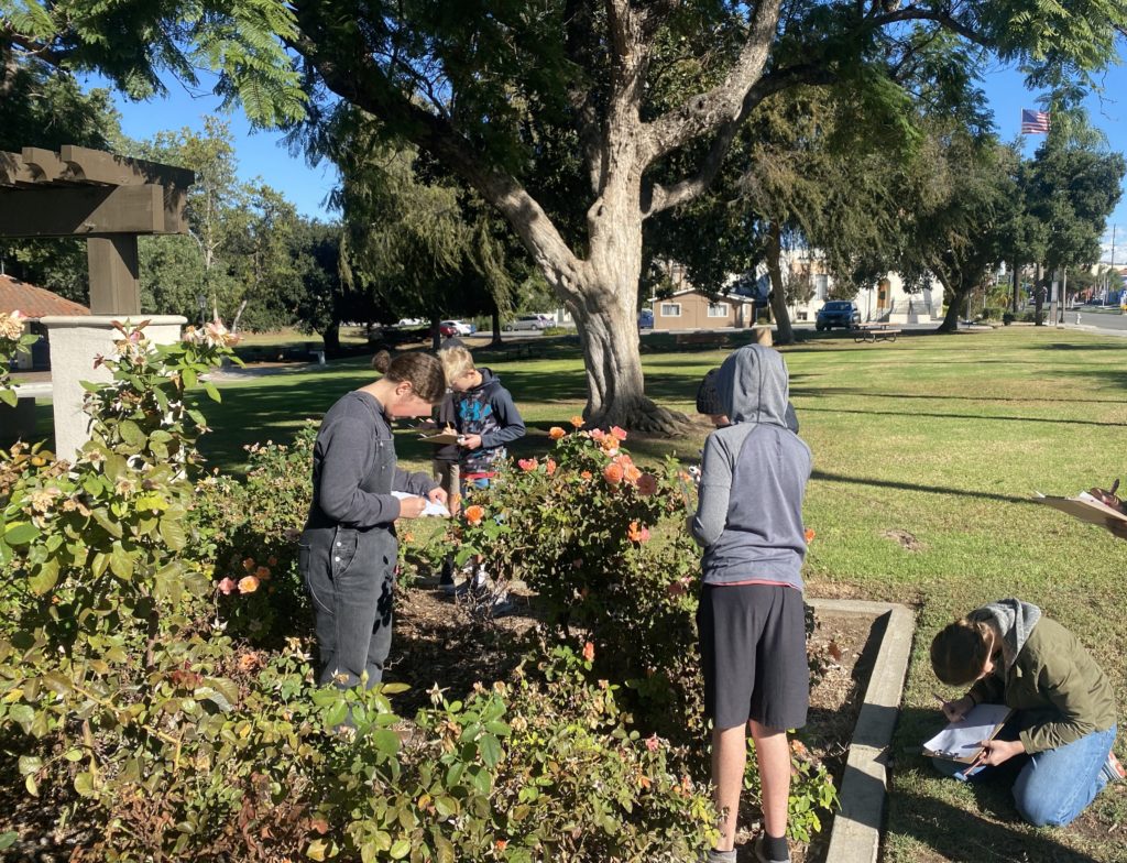 students observing flora and taking notes
